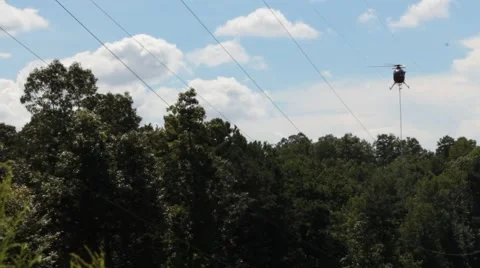 A helicopter trimming the tree line Stock Footage 41455898