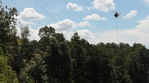 A helicopter trimming the tree line Stock Footage 41455905