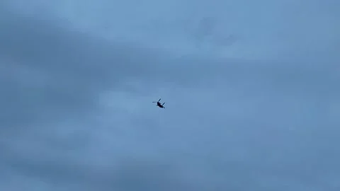 Helicopter with two propellers transports cargo Stock Footage 254021519