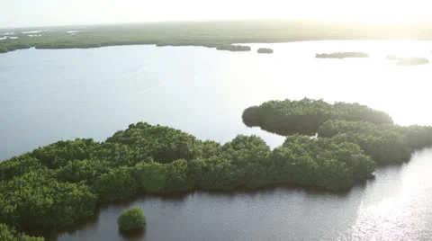 Helicopter View of Everglades Stock Footage 26150763