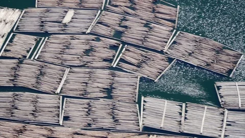 Helicopter view of floating timber logs on river. Aerial 4k shot from above Stock Footage 99146917