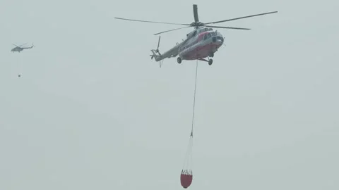 Helicopter Water Bucket Operation During Wildfire Stock Footage 282928069
