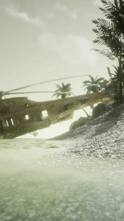 Helicopter wreck found on beach with palm trees in background at sunset Stock Footage 336171891