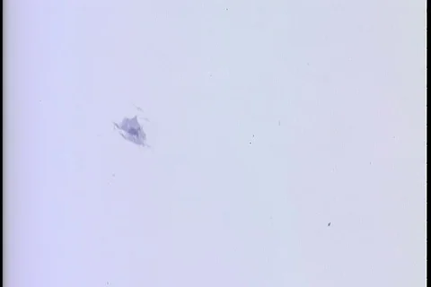 Helicopters attack enemy positions and soldiers walk through damaged street-1968 Stock Footage 106060016