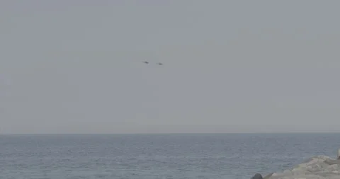 Helicopters at the Beach Stock Footage 168110267