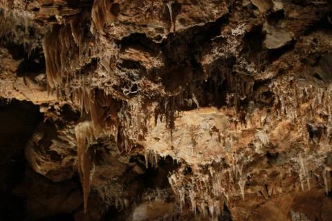 Helictite in a cave 写真素材