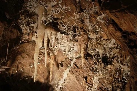 Helictite in a cave Stock Photos