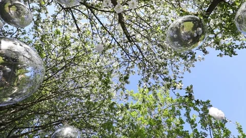 Helium silver balloons hanging in trees Stock Footage 140178255