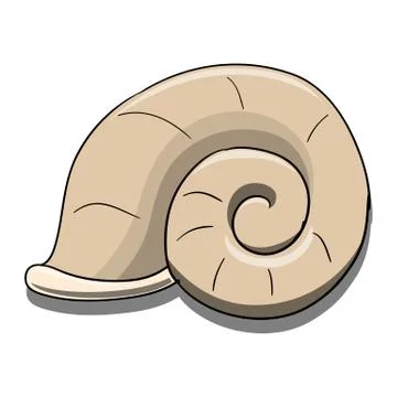 Helix shell Stock Illustration