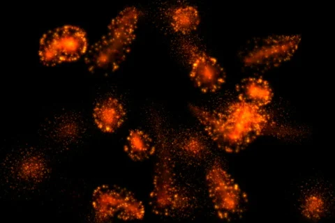 Hell background Stock-Footage 301646