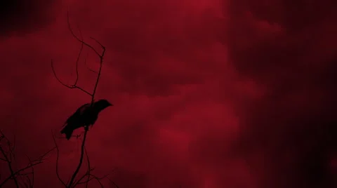 The Hell Crow Stock Footage 45392855