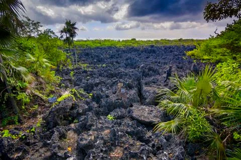 Hell on Earth Foto stock