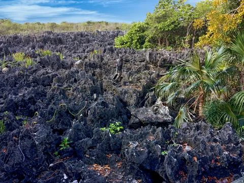 Hell, Grand Cayman Stock Photos