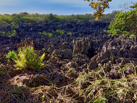 Hell, Grand Cayman Stock Photos