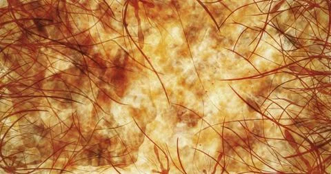 Hell Stock Illustration