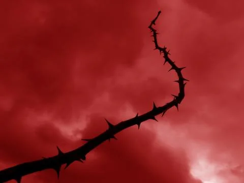 Hell whip Stock Photos