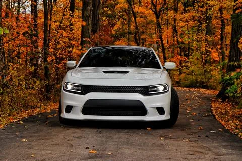Hellcat Charger Stock-Fotos