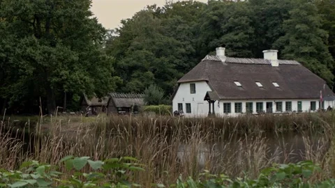 Hellebæk Stock Footage 170158370