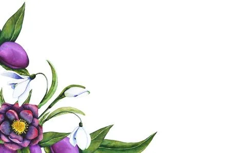 Hellebore black and snowdrops. Frame banner made of watercolor elements on a Stock Illustration