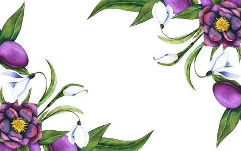Hellebore black and snowdrops. Frame banner made of watercolor elements on a Stock Illustration