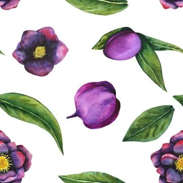 Hellebore black. Seamless pattern of watercolor elements. Hand drawn flowers Stock Illustration