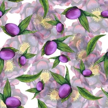Hellebore black. Seamless pattern of watercolor elements. Hand drawn flowers Stock Illustration