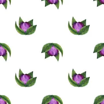 Hellebore black. Seamless pattern of watercolor elements. Hand drawn flowers Stock Illustration