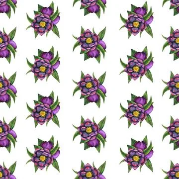 Hellebore black. Seamless pattern of watercolor elements. Hand drawn flowers Stock Illustration
