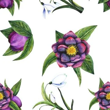 Hellebore black, snowdrop. Seamless pattern of watercolor elements on a Stock Illustration