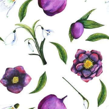 Hellebore black, snowdrop. Seamless pattern of watercolor elements on a Stock Illustration