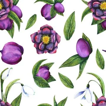 Hellebore black, snowdrop. Seamless pattern of watercolor elements on a Stock Illustration