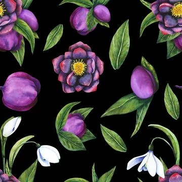 Hellebore black, snowdrop. Seamless pattern of watercolor elements on a dark Stockillustratie