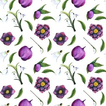 Hellebore black, snowdrop. Seamless pattern of watercolor elements on a Stock Illustration