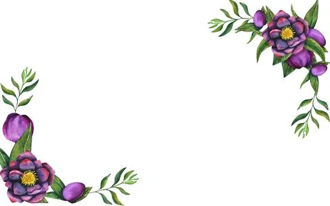 Hellebore black.Banner-frame of watercolor elements on a transparent background Stock Illustration