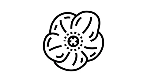 Hellebore flower spring line icon animation Stock Footage 326135362