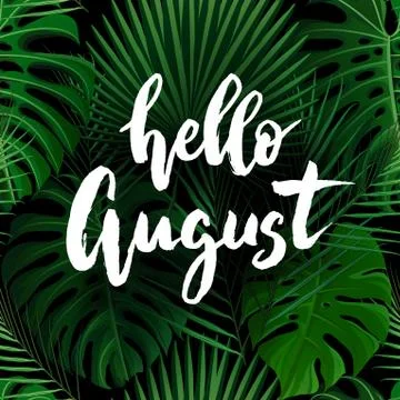 Hello August brush lettering. Stock Illustration