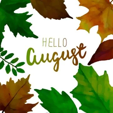 Hello August. Vector illustration Stock Illustration