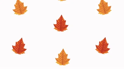 Hello autumn animation with leafs pattern Stock Footage 138975149