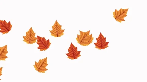 Hello autumn animation with leafs pattern Stock Footage 138975189
