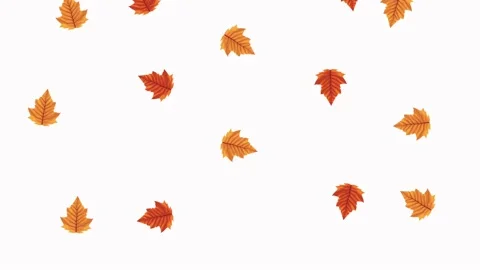Hello autumn animation with leafs pattern Stock Footage 138975217