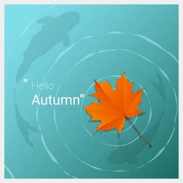 Hello autumn background with maple leaf floating on the water Stock Illustration