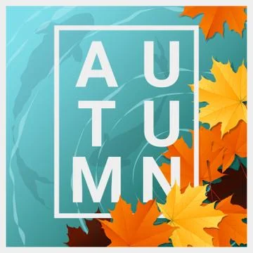 Hello autumn background with maple leaves floating on the water Stock Illustration