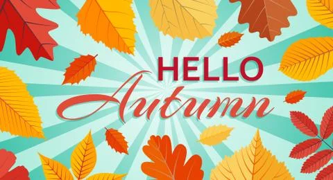Hello Autumn background template with bright leaves Stock Illustration