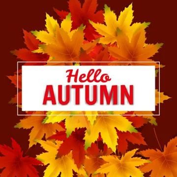 Hello Autumn Background Template, with falling bunch of leaves, shopping sale or Stock Illustration