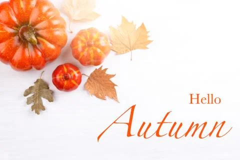Hello autumn concept Stock Photos
