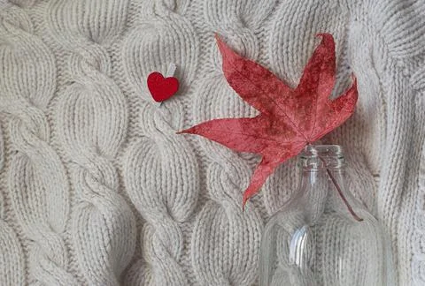 Hello autumn. Creative flat lay composition on light background. Red leaf, kn Stock Photos