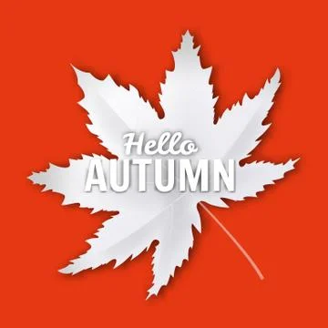 Hello Autumn fall leaf white monochrome. Autumn maple leaf isolated. Vector Illustrazione stock