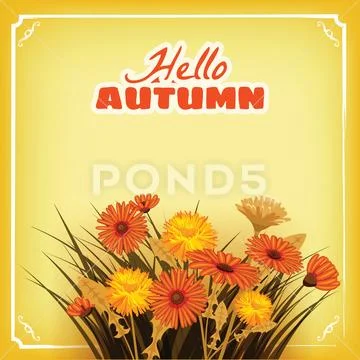 Hello Autumn, flowers, Fall, leaves, banner, greeting card, autumn colors Stock Illustration
