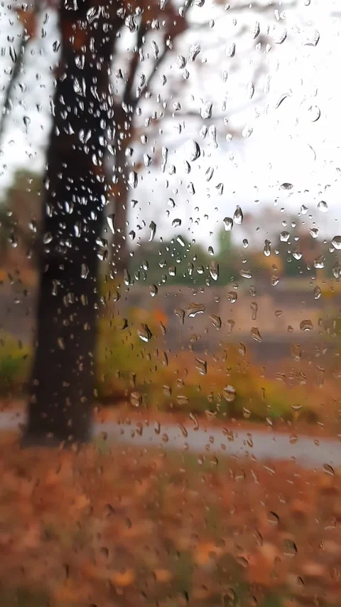 Hello autumn Stock Footage 276385215