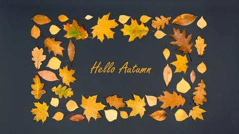 Hello Autumn. Greeting card. Rectangular frame of beautiful autumn yellow and Stock Photos